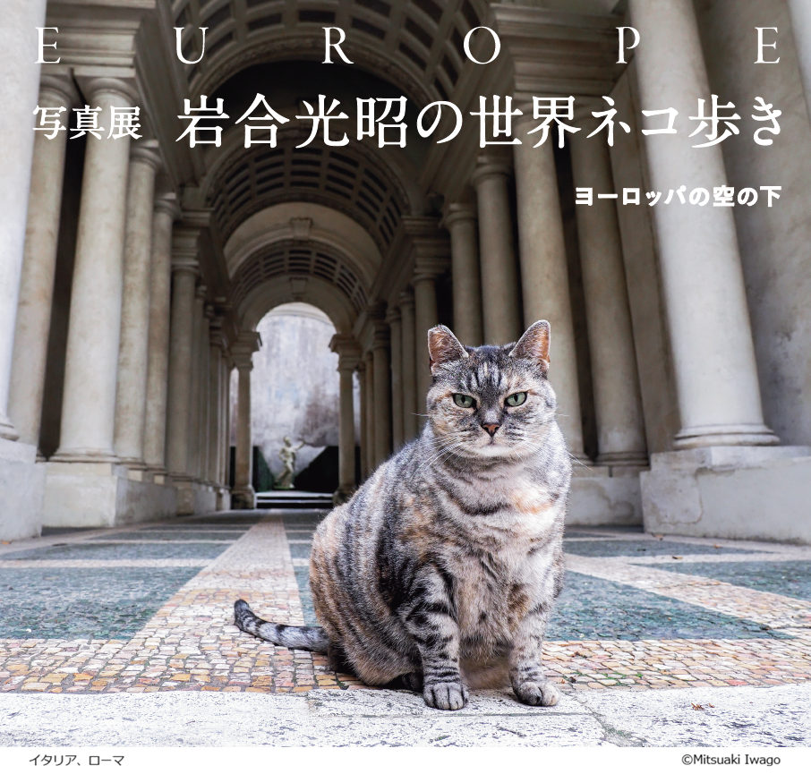 Mitsuaki Iwago's World Cat Walk: Under European Skies Photo Exhibition in Sapporo