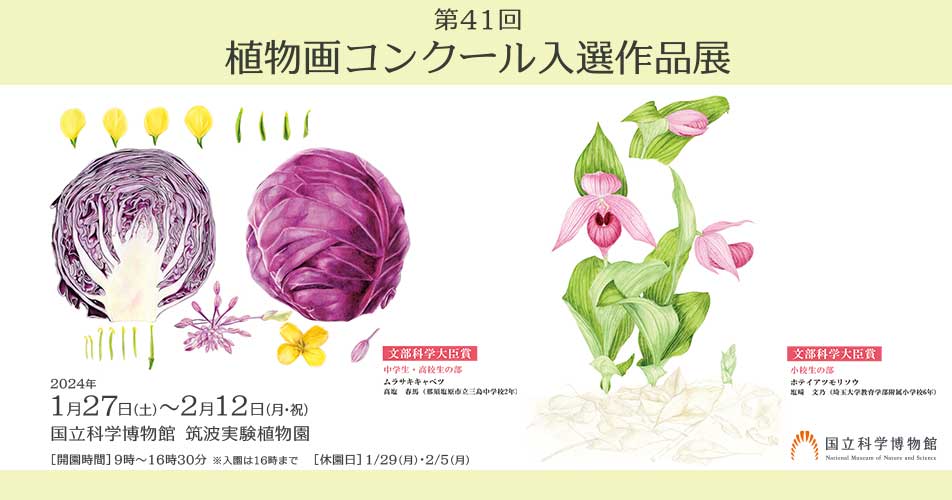 第42回植物画コンクール入選作品展 国立科学博物館で開催