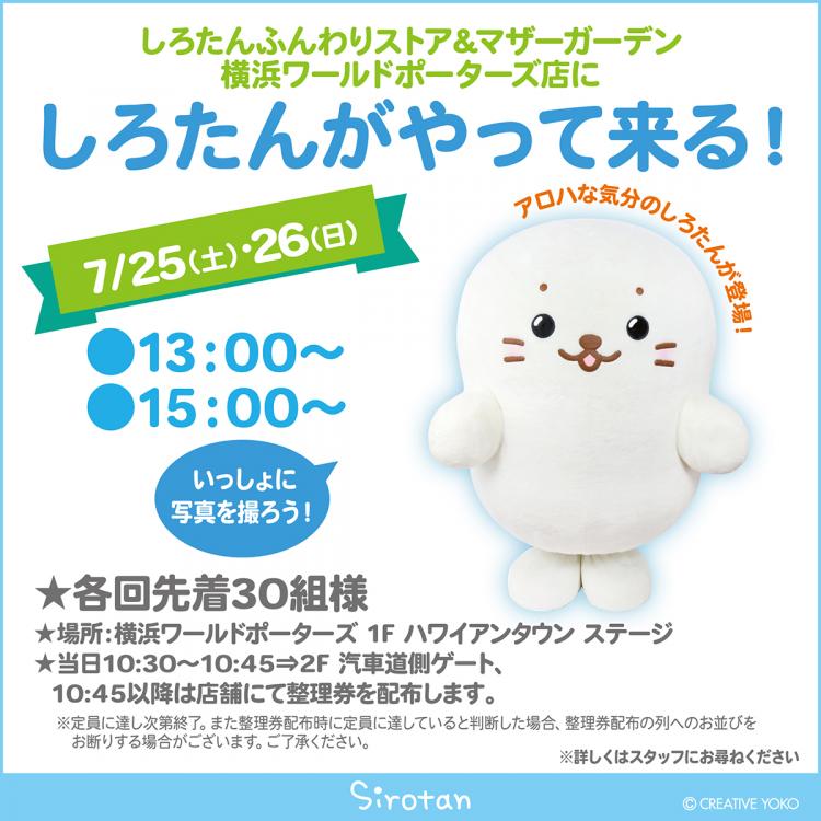 しろたんがやってくる
