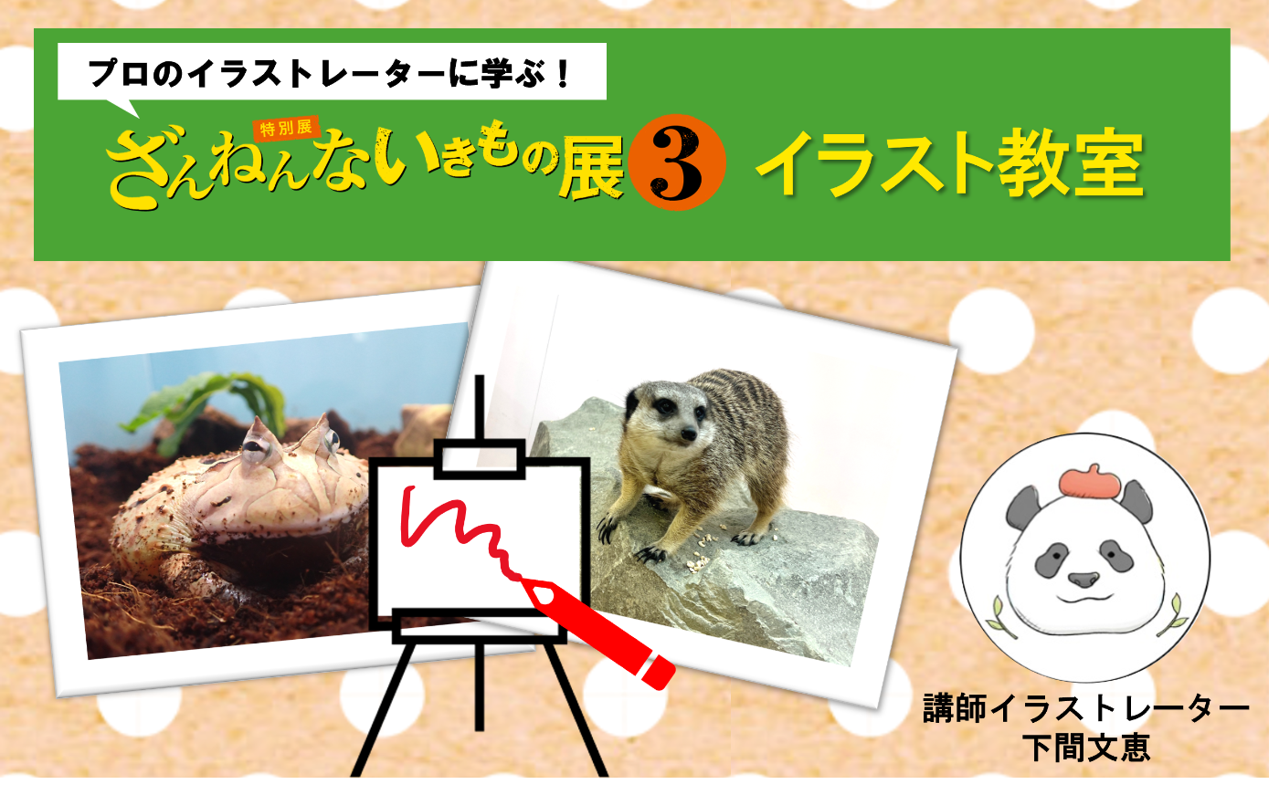 【10/17(土)開催！】プロのイラストレーターに学ぶ！ざんねんないきもの展３　イラスト教室