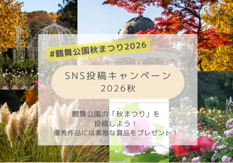 SNS投稿キャンペーン秋まつり2026🍁