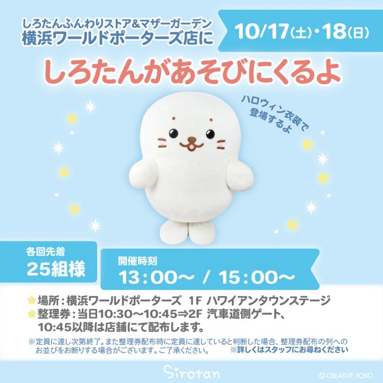 しろたんがやってくる
